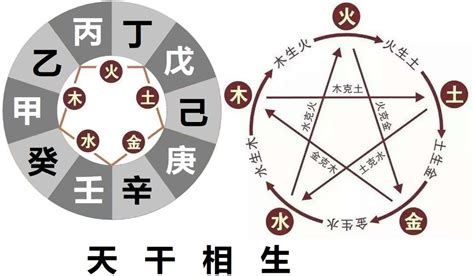 乙木八字|十天干命主白話解說